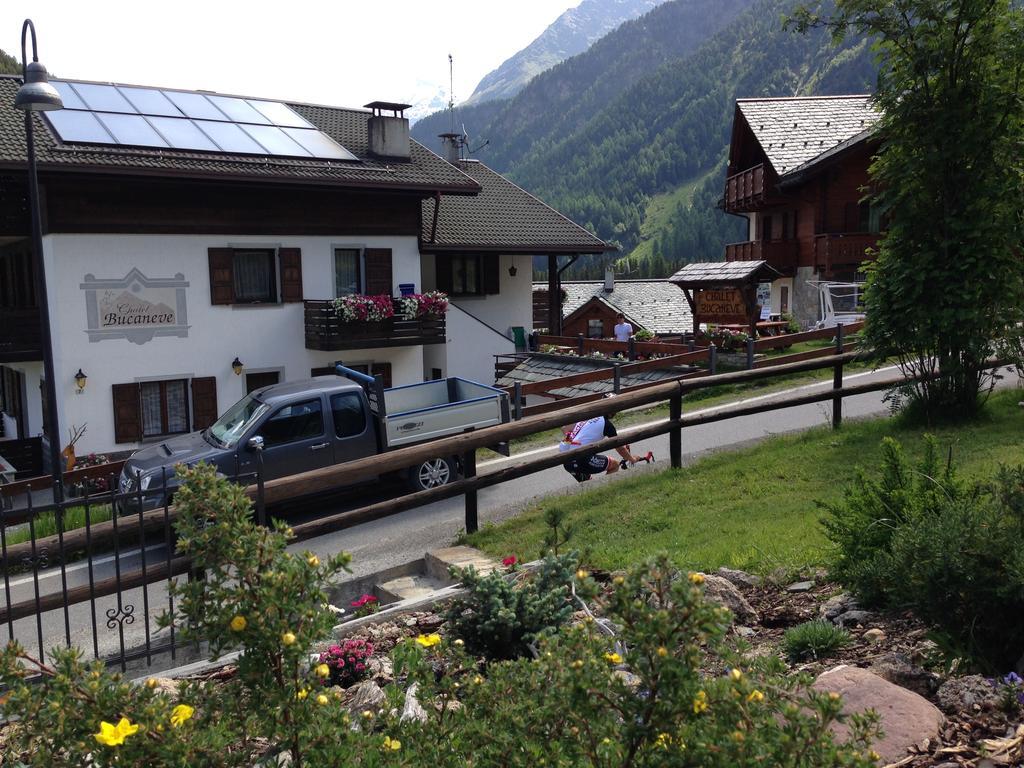 Chalet Bucaneve Santa Caterina di Valfurva Extérieur photo